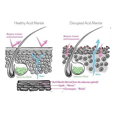 Lớp màng acid bảo vệ da như thế nào?