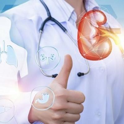 Lợi khuẩn Probiotics có thể đem lại lợi ích cho bệnh nhân thận mãn tính