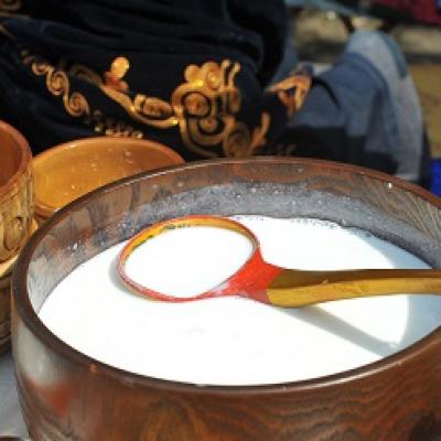 Bí mật của sữa chua Bulgaria