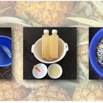 Ủ dứa lên men để làm nước gội đầu, xả tóc